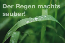 Regen